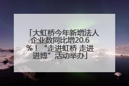 大虹桥今年新增法人企业数同比增20.6%！“走进虹桥 走进进博”活动举办