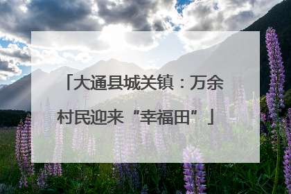 大通县城关镇：万余村民迎来“幸福田”