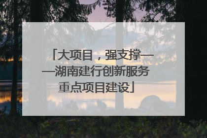 大项目，强支撑——湖南建行创新服务重点项目建设