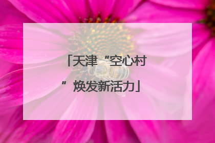 天津“空心村”焕发新活力