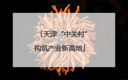 天津“中关村”构筑产业新高地