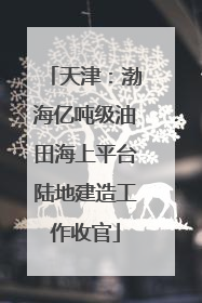 天津：渤海亿吨级油田海上平台陆地建造工作收官