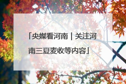 央媒看河南｜关注河南三夏麦收等内容
