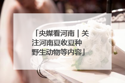 央媒看河南｜关注河南夏收夏种 野生动物等内容
