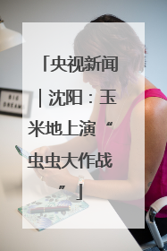 央视新闻｜沈阳：玉米地上演“虫虫大作战”