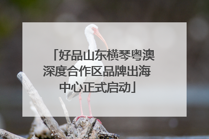 好品山东横琴粤澳深度合作区品牌出海中心正式启动