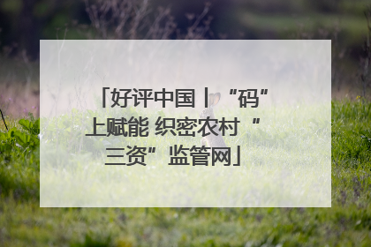 好评中国丨“码”上赋能 织密农村“三资”监管网