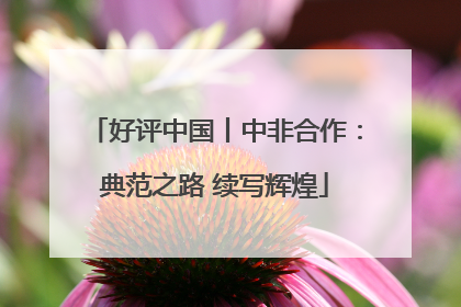 好评中国丨中非合作：典范之路 续写辉煌