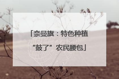 奈曼旗：特色种植“鼓了”农民腰包
