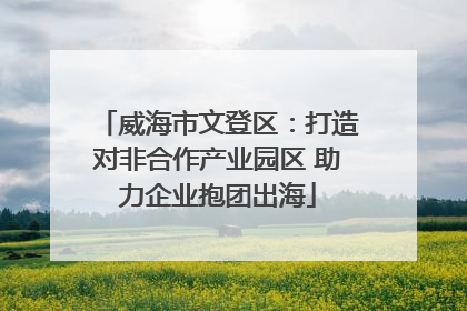 威海市文登区：打造对非合作产业园区 助力企业抱团出海