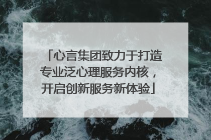 心言集团致力于打造专业泛心理服务内核，开启创新服务新体验