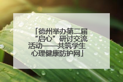 德州举办第二届“启心”研讨交流活动——共筑学生心理健康防护网