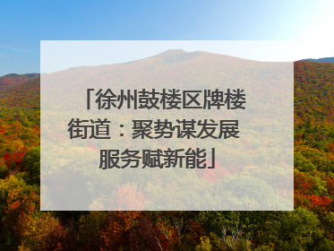 徐州鼓楼区牌楼街道：聚势谋发展 服务赋新能