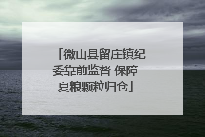 微山县留庄镇纪委靠前监督 保障夏粮颗粒归仓