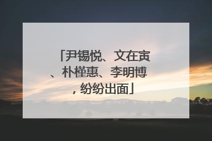 尹锡悦、文在寅、朴槿惠、李明博，纷纷出面