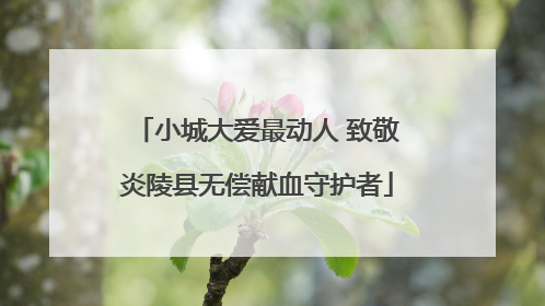 小城大爱最动人 致敬炎陵县无偿献血守护者