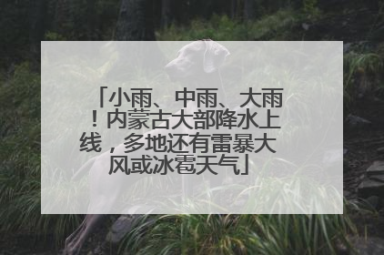 小雨、中雨、大雨！内蒙古大部降水上线，多地还有雷暴大风或冰雹天气
