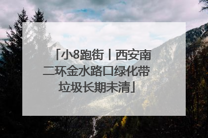 小8跑街丨西安南二环金水路口绿化带垃圾长期未清