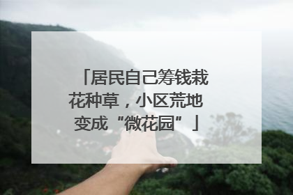 居民自己筹钱栽花种草，小区荒地变成“微花园”