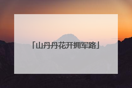 山丹丹花开拥军路
