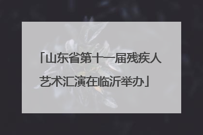山东省第十一届残疾人艺术汇演在临沂举办