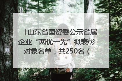 山东省国资委公示省属企业“两优一先”拟表彰对象名单，共250名（个）党员和党组织