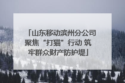 山东移动滨州分公司聚焦“打猫”行动 筑牢群众财产防护堤