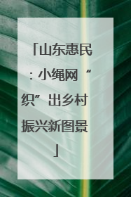 山东惠民：小绳网“织”出乡村振兴新图景