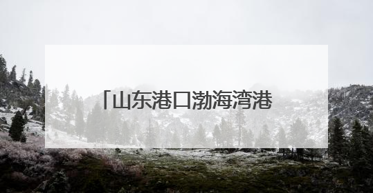 山东港口渤海湾港滨州港区港华码头迎来入夏生产小高峰
