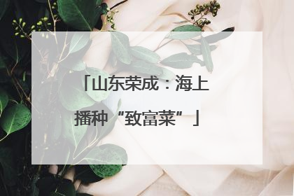 山东荣成：海上播种“致富菜”