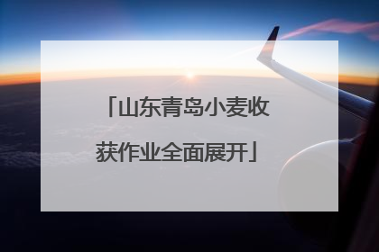 山东青岛小麦收获作业全面展开