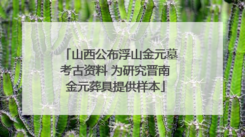 山西公布浮山金元墓考古资料 为研究晋南金元葬具提供样本
