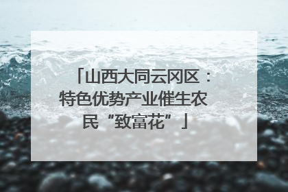 山西大同云冈区：特色优势产业催生农民“致富花”