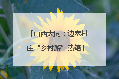 山西大同：边塞村庄“乡村游”热络