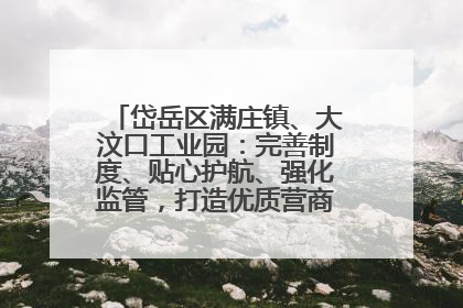 岱岳区满庄镇、大汶口工业园：完善制度、贴心护航、强化监管，打造优质营商“强磁场”