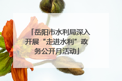 岳阳市水利局深入开展“走进水利”政务公开月活动
