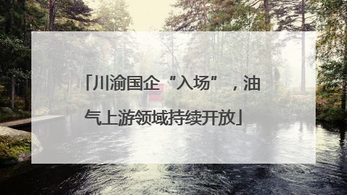 川渝国企“入场”，油气上游领域持续开放