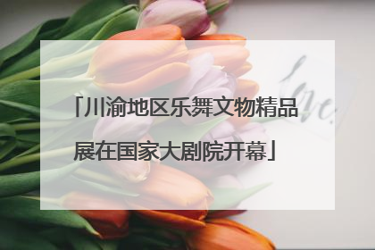 川渝地区乐舞文物精品展在国家大剧院开幕