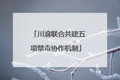 川渝联合共建五项禁毒协作机制
