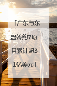 广东与东盟签约7项目累计超31亿美元