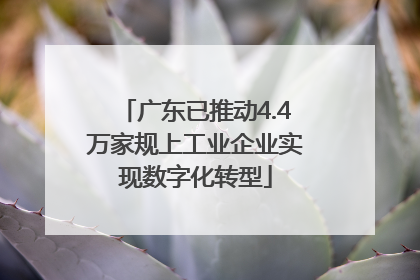 广东已推动4.4万家规上工业企业实现数字化转型