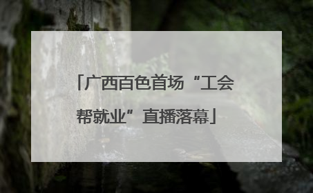 广西百色首场“工会帮就业”直播落幕