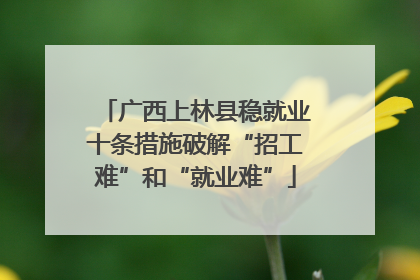 广西上林县稳就业十条措施破解“招工难”和“就业难”