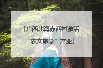 广西北海赤西村激活“农文旅学”产业