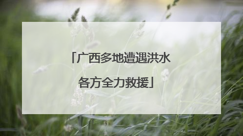 广西多地遭遇洪水 各方全力救援