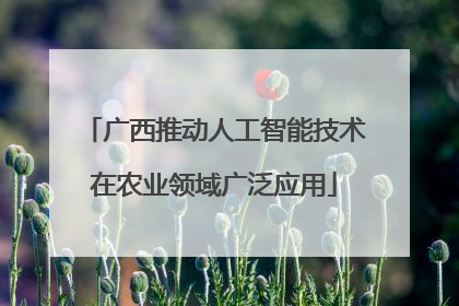 广西推动人工智能技术在农业领域广泛应用