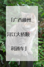 广西藤州浔江大桥顺利通车