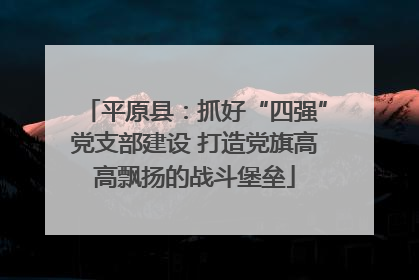 平原县：抓好“四强”党支部建设 打造党旗高高飘扬的战斗堡垒