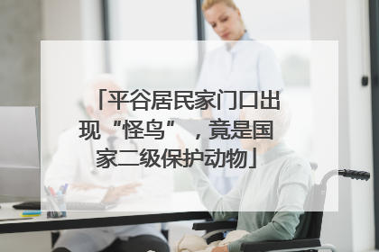 平谷居民家门口出现“怪鸟”，竟是国家二级保护动物