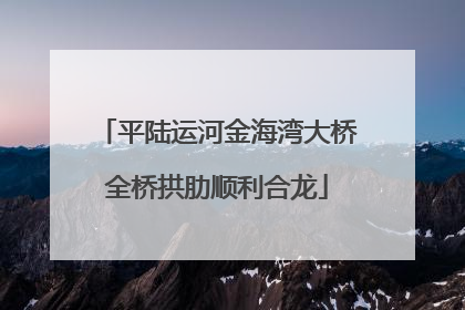平陆运河金海湾大桥全桥拱肋顺利合龙